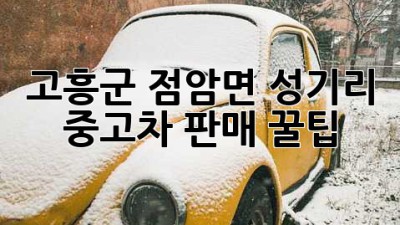 고흥군 점암면 성기리 중고차 판매 꿀팁!